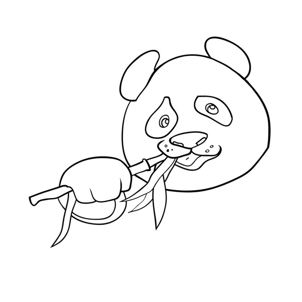 Ilustração Linear Vetorial Ilustração Preto Branco Urso Panda —  Vetores de Stock