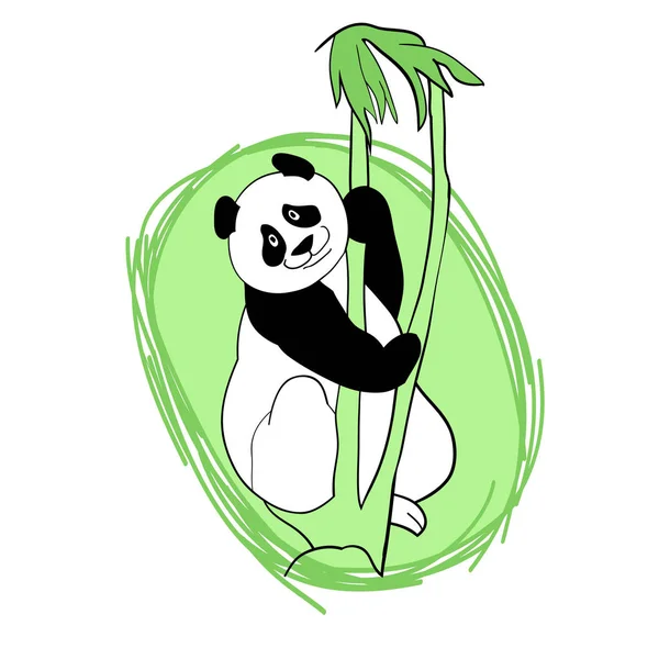 Dessin Vectoriel Illustration Couleur Ours Panda — Image vectorielle