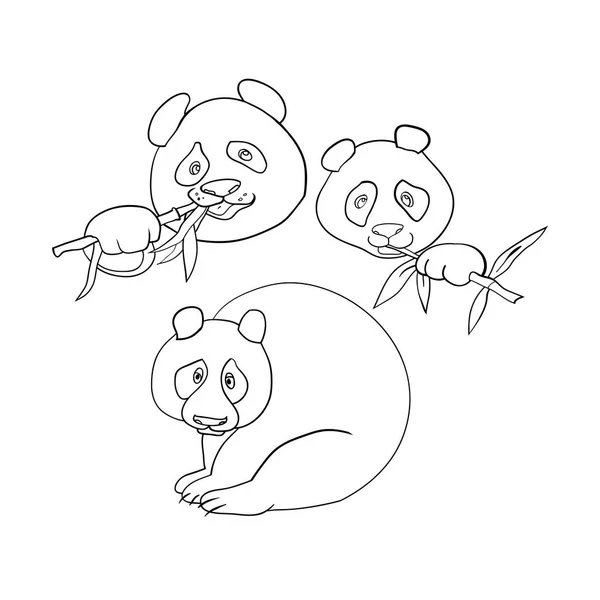 Ilustração Linear Vetorial Ilustração Preto Branco Urso Panda —  Vetores de Stock