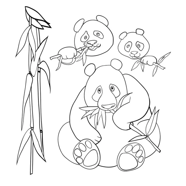 Ilustração Linear Vetorial Ilustração Preto Branco Urso Panda —  Vetores de Stock