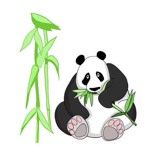 Vector Tekening Kleur Illustratie Panda Bear — Stockvector