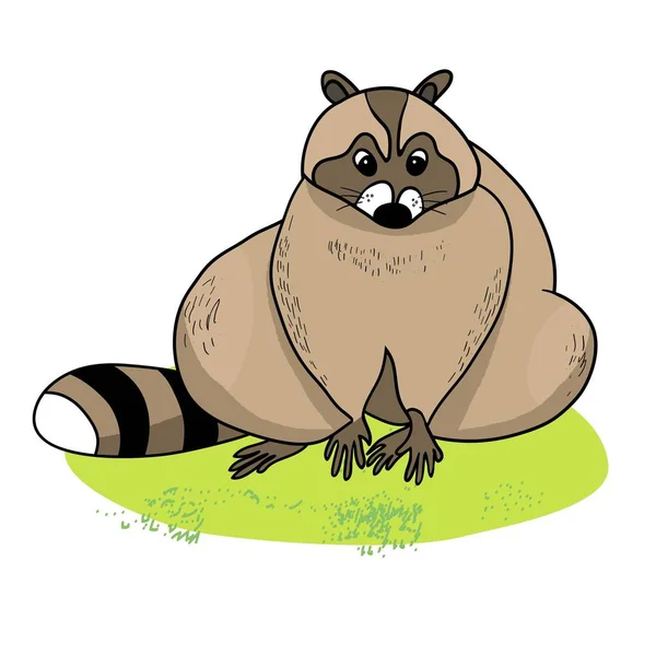 Cute Raccoon Green Grass Cartoon Character Raccoon Pet Drawing Color — Stock Vector