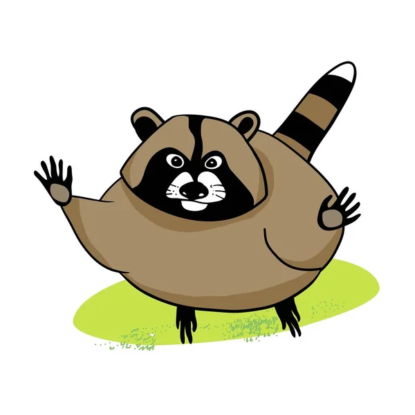 Cute Raccoon Green Grass Cartoon Character Raccoon Pet Drawing Color — Stock Vector