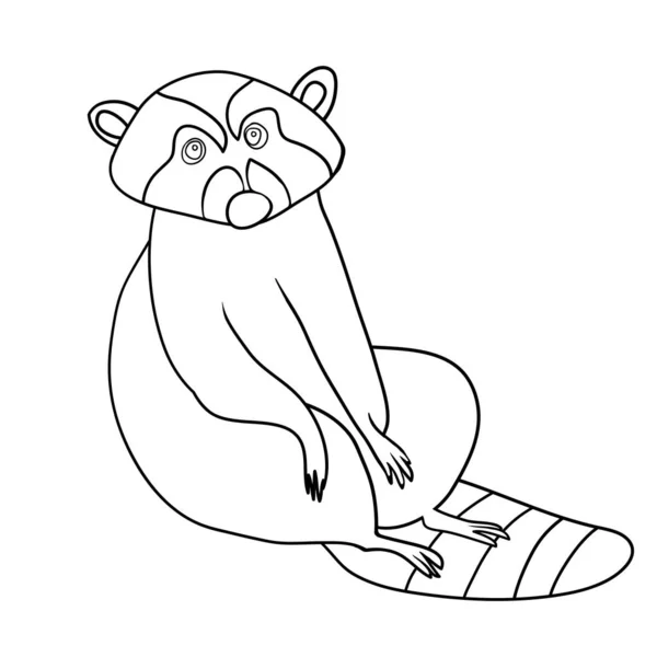 Söt Tvättbjörn Tecknad Karaktär Raccoon Pet Svart Vit Ritning För — Stock vektor
