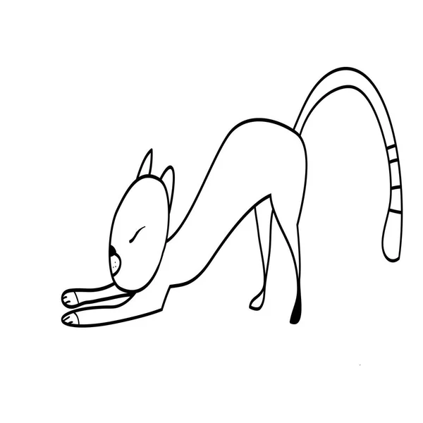 Faule Süße Katze Haustier Schwarz Weißes Lineares Bild Digitale Zeichnung — Stockvektor