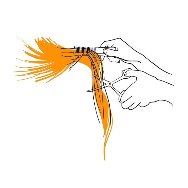 Mãos Que Cortam Cabelo Mãos Cabeleireiro Mãos Tesouras Desenho Linear —  Vetores de Stock