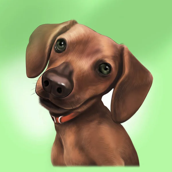 Retrato Digital Cão Animal Estimação Ilustrações Cores Desenhadas Mão — Fotografia de Stock