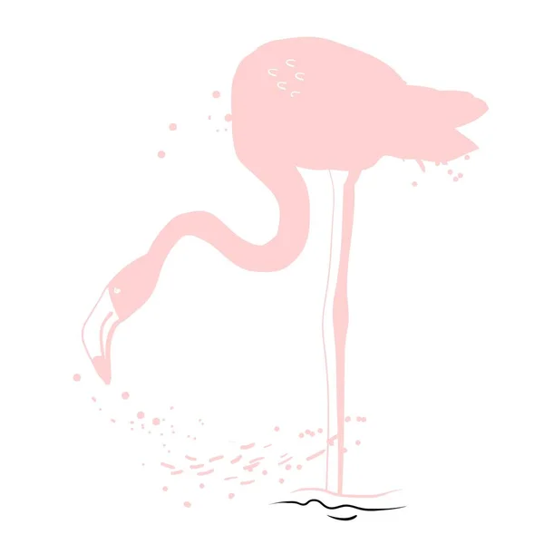 Flamingo Procurando Peixe Desenho Gráfico Ilustração Vetorial — Vetor de Stock
