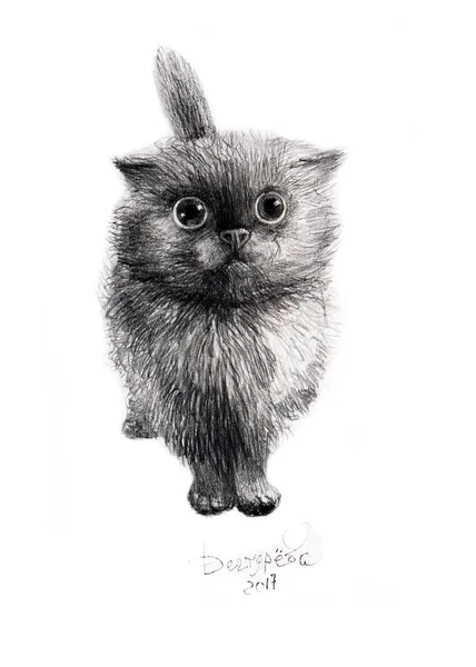 Cat Pet Pencil Drawing Paper Postcard Design — Stock Photo, Image