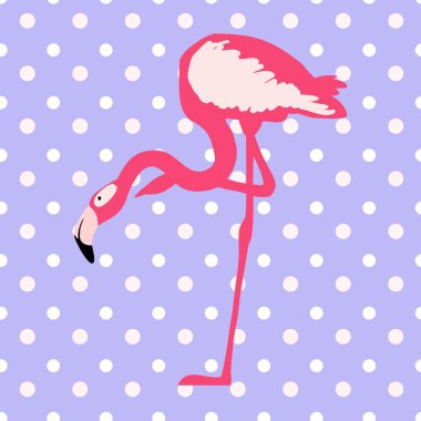 Pembe Flamingo, bezelye içinde dikişsiz bir desen arka planda desen, vektör illüstrasyon