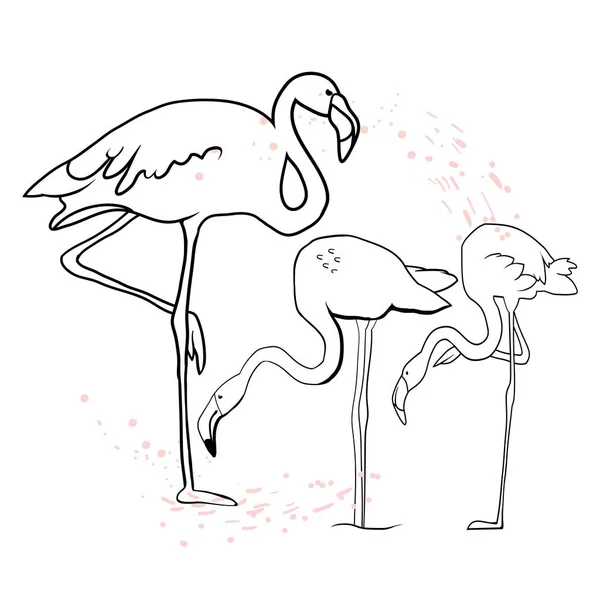 Rosa Flamingo Silhouette Schar Von Flamingos Zeichnung Vektorillustration — Stockvektor