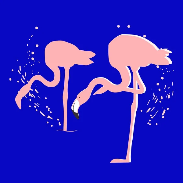 Pink Flamingo Silhouette Flock Flamingos Drawing Vector Illustration — Stock Vector