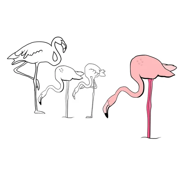 Pink Flamingo Silhouette Flock Flamingos Drawing Vector Illustration — Stock Vector