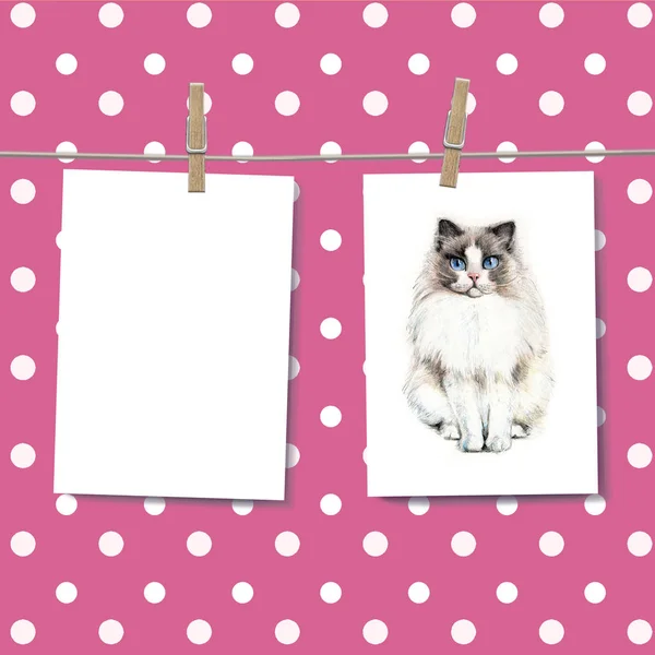 Mockup postcards on a cute background, blank cards, for design and advertising, postcard with a cat, drawn in pencil, lettering about pets