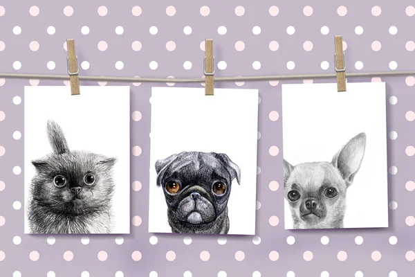 Mokcup Postkarten Mit Handgezeichneten Haustieren Auf Niedlichem Erbsenhintergrund — Stockfoto