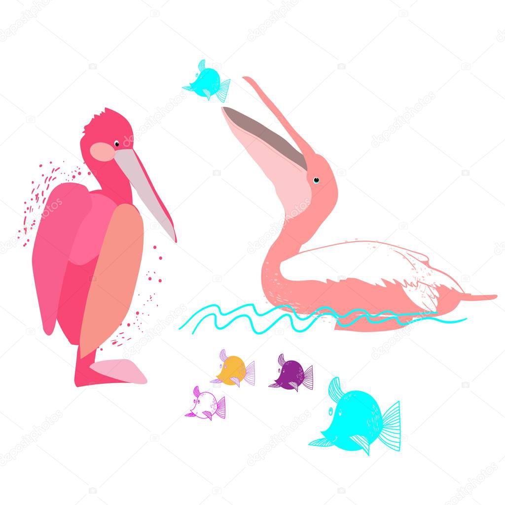 Set of drawings of large birds, pink pelican, cartoon character, in vector