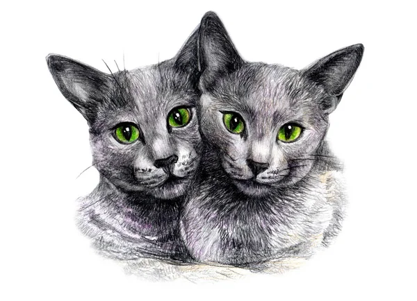 Gray Fluffy Cats Green Eyes Lie Embrace Drawing Paper White — Stock Photo, Image