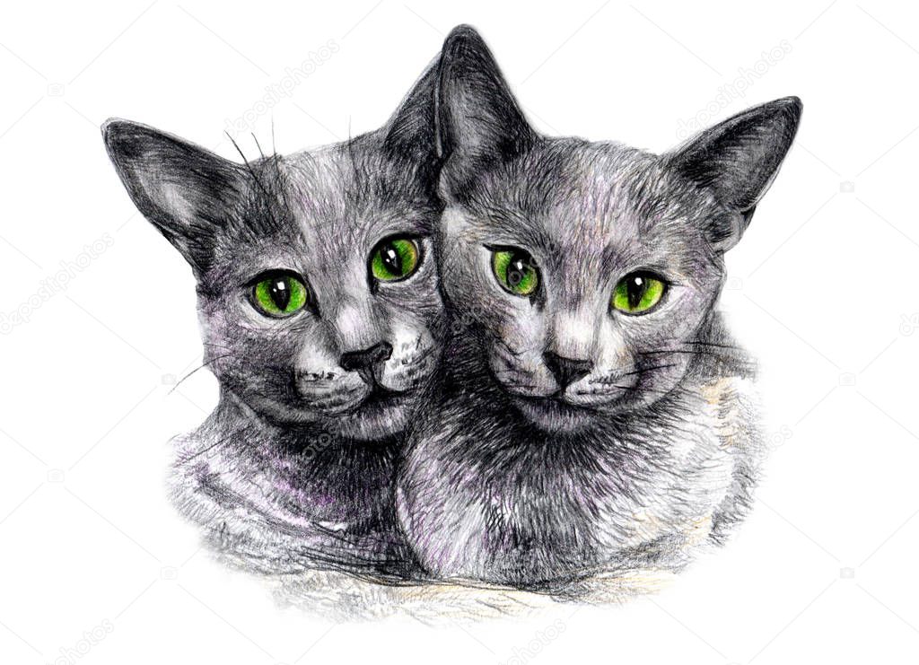 Gray fluffy cats, with green eyes, lie in an embrace, drawing on paper, on a white background, with colored pencils, for print design and scenery
