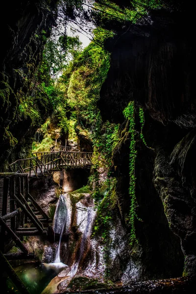Печера Caglieron Тревізо Північна Італія Влітку — стокове фото