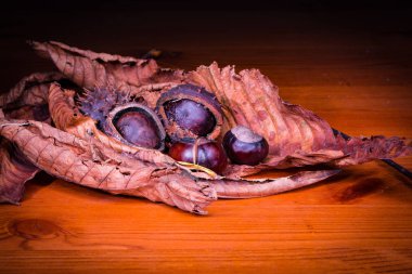 Bir tablo sırasında sonbahar yaprakları yaprakları bir kestane