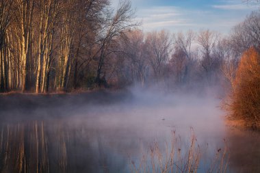 Casale sul Sile Sile nehir üzerinde gündoğumu sabah sis. Ağaçlar kıyısında,