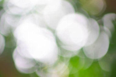 Soyut parlak bokeh arkaplanı