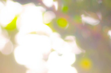 Soyut parlak bokeh arkaplanı