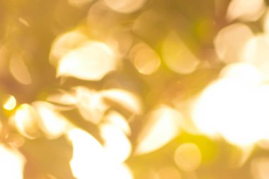 Soyut parlak bokeh arkaplanı