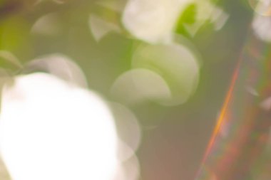 soyut yeşil bokeh arkaplanı