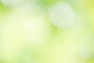 soyut parlak yeşil bokeh arka plan