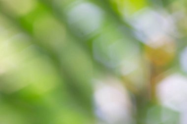 soyut altıgen yeşil bokeh arka plan