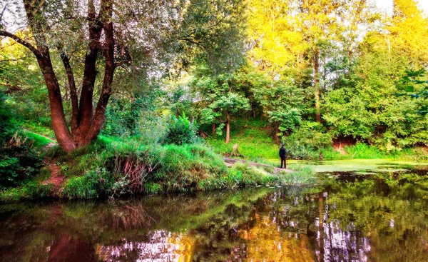 池のツリー — ストック写真