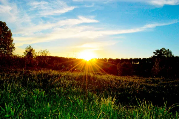 Захід сонця над полем трави — стокове фото