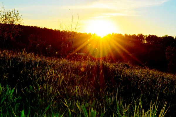 Захід сонця над полем трави — стокове фото