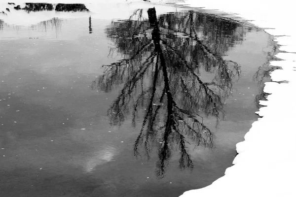 Zimní jezero ve sněhu — Stock fotografie