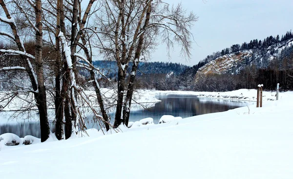 Uma floresta coberta de neve — Fotografia de Stock