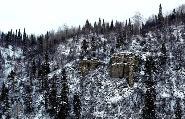 Góry Las w śniegu — Zdjęcie stockowe