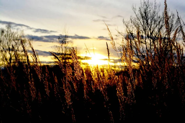 Захід сонця над полем — стокове фото
