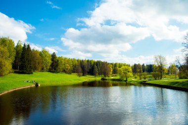 Yeşil glade temiz bir nehirde yansıtılır