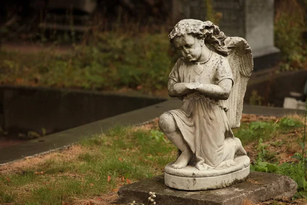 A temetőben egy síró angyal szobra — Stock Fotó