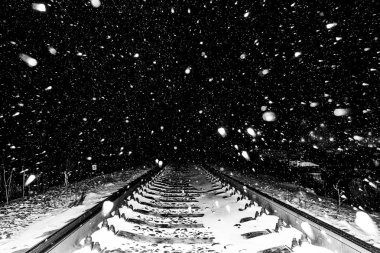 solan ışıkkış ormanlarında yol