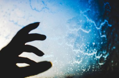 parlak ışık değil akvaryumda balık