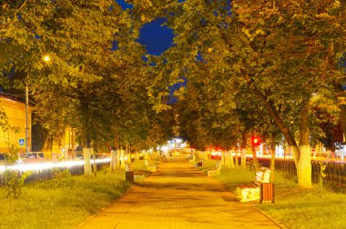 solan bir ışık parkta sonbahar