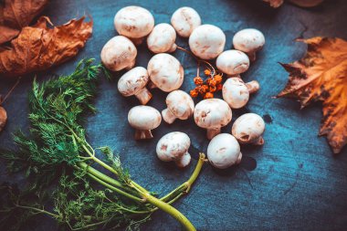 parlak ışıkta bir yuvada paskalya yumurtaları