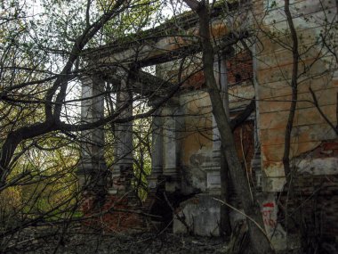 solan ışık ormanda eski ev