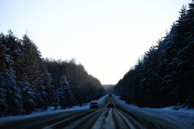 değil parlak ışık karda noel ağacı
