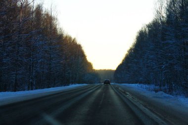 solan bir ışık ormanda yol