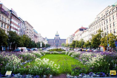 solan bir ışıkta paris görünümü