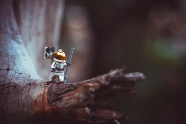 çok parlak olmayan ışıkta çiçek üzerinde uçmak