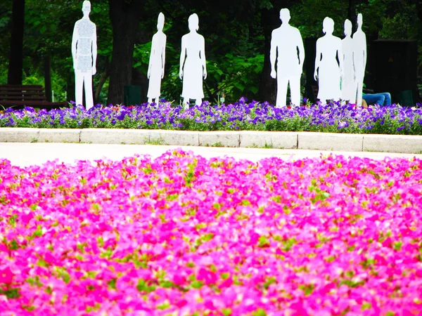 Bloemen Begraafplaats Fading Licht — Stockfoto